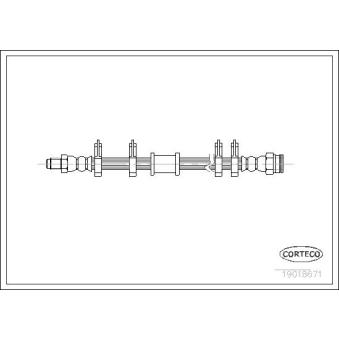 Flexible de frein CORTECO OEM SE022744400C