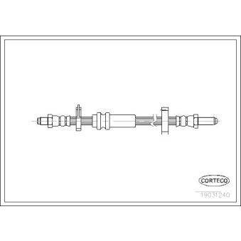 Flexible de frein CORTECO 19031240 pour ALFA ROMEO ALFASUD 1.4 - 76cv