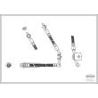 CORTECO 19032204 - Flexible de frein avant droit