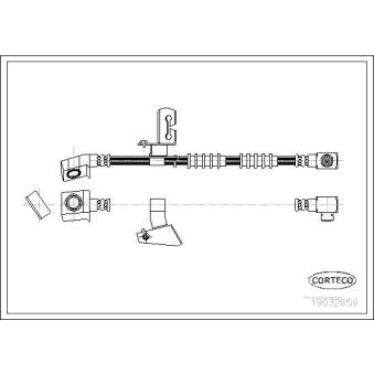 Flexible de frein avant gauche CORTECO 19032659