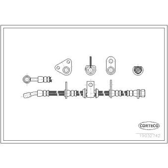 Flexible de frein avant gauche CORTECO 19032742