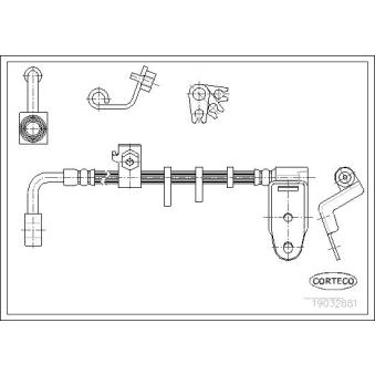 Flexible de frein arrière gauche CORTECO 19032881