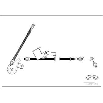Flexible de frein avant gauche CORTECO [19034953]
