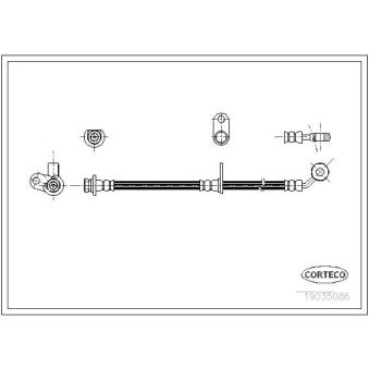 Flexible de frein CORTECO 19035086