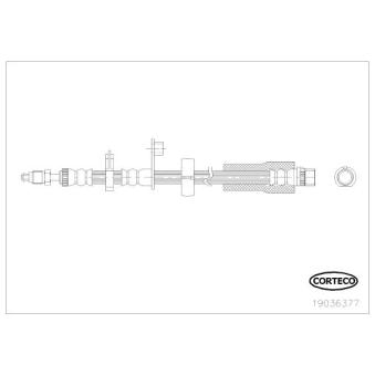 Flexible de frein CORTECO 19036377 pour MERCEDES-BENZ CLASSE E 2.0 HDI 95 - 95cv