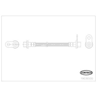 Flexible de frein arrière gauche CORTECO OEM 1609046780