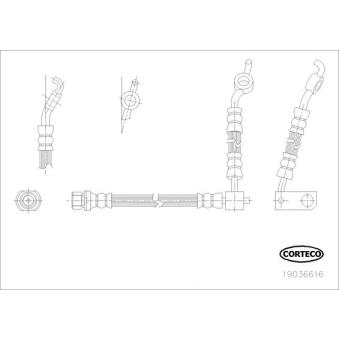 Flexible de frein CORTECO [19036616]