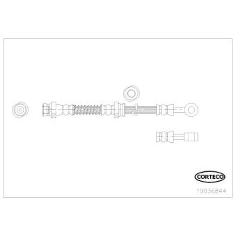 Flexible de frein CORTECO OEM 587370x300