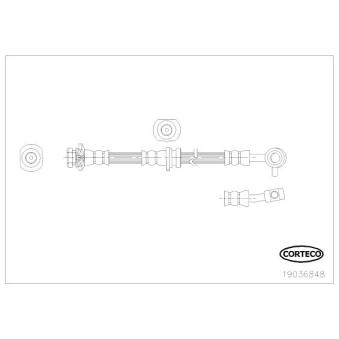 Flexible de frein CORTECO OEM 46210JG01B