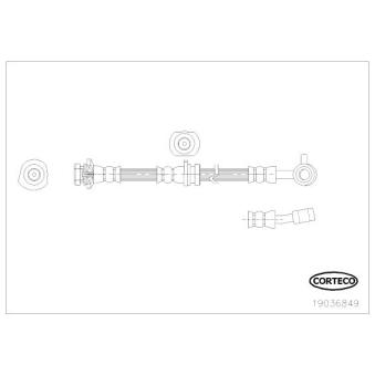 Flexible de frein CORTECO OEM 46210JG01A