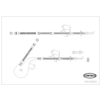 Flexible de frein avant gauche CORTECO [19036855]