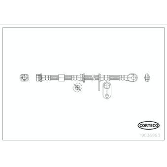 Flexible de frein CORTECO [19036993]