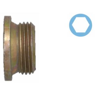 Vis-bouchon, carter d'huile CORTECO 220067H pour RENAULT VELSATIS 2.4 TD - 110cv