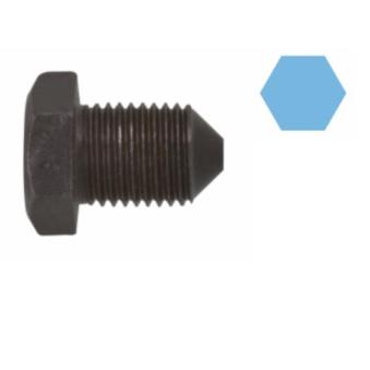 Vis-bouchon, carter d'huile CORTECO 220079H pour DACIA DOKKER 1.9 TDI - 110cv