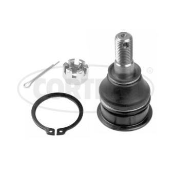 Rotule de suspension CORTECO OEM 54500AV606 Rotule de suspension CORTECO OEM 54500AV606