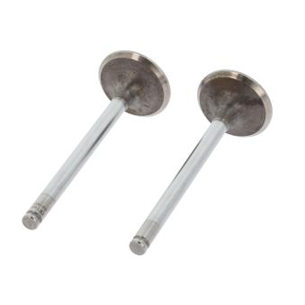 Soupape d'admission CORTECO 550990B