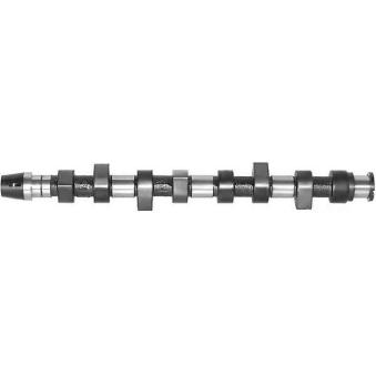 Arbre à came AE CAM441