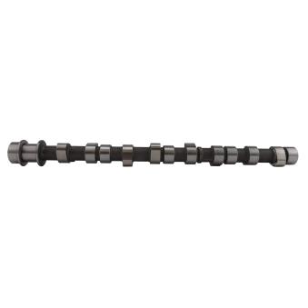 Arbre à came AE OEM 2410042200