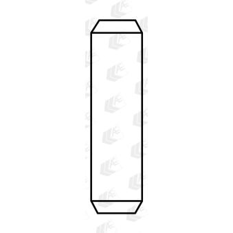 Guide de soupape AE VAG92193 pour IVECO DAILY 45-10 V 103cv Guide de soupape AE VAG92193 pour IVECO DAILY 45-10 V 103cv