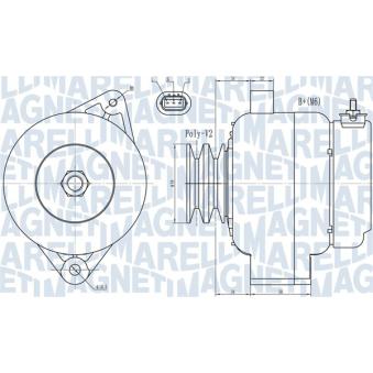Alternateur MAGNETI MARELLI OEM 2706017230 Alternateur MAGNETI MARELLI OEM 2706017230