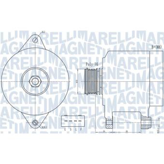 Alternateur MAGNETI MARELLI OEM A3TG3181