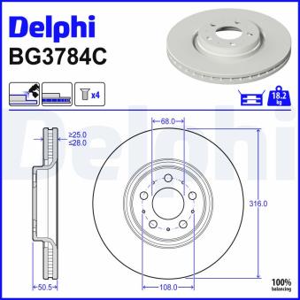 Jeu de 2 disques de frein arrière DELPHI OEM 31423325