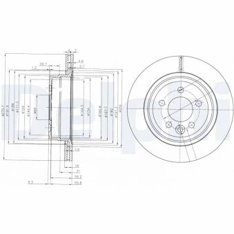 Jeu de 2 disques de frein arrière DELPHI BG3919