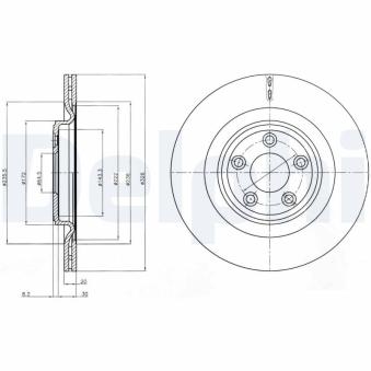 Jeu de 2 disques de frein arrière DELPHI OEM C2C25339