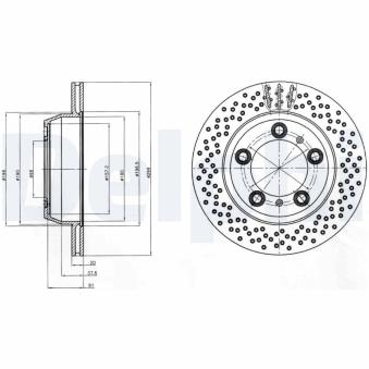 Jeu de 2 disques de frein arrière DELPHI BG4302C pour PORSCHE BOXSTER 2.7 - 245cv
