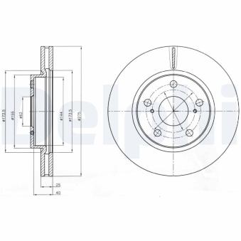Jeu de 2 disques de frein avant DELPHI [BG4304]