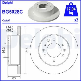 Jeu de 2 disques de frein arrière DELPHI BG5028C pour HYUNDAI H350 2.5 CRDI - 150cv