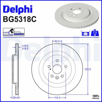 Jeu de 2 disques de frein arrière DELPHI BG5318C pour LEXUS RX 450h+ E-Four - 309cv
