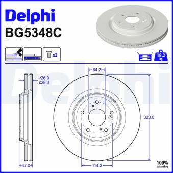 Jeu de 2 disques de frein arrière DELPHI BG5348C