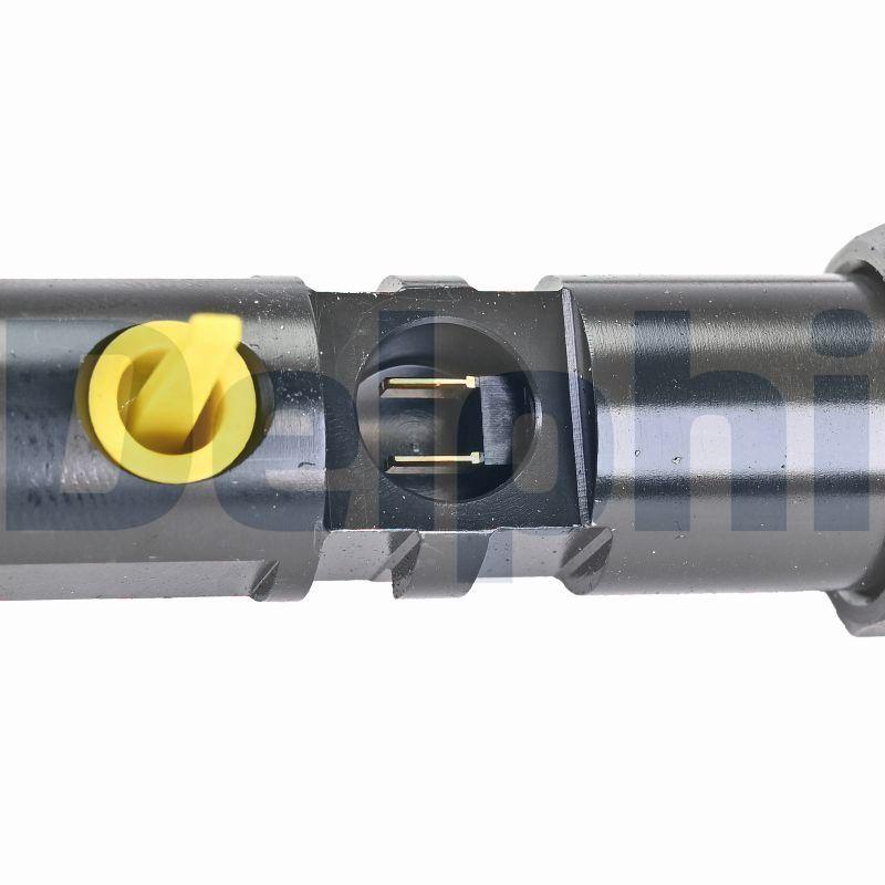 Injecteur DELPHI R01101D-12B1 - Visuel 1