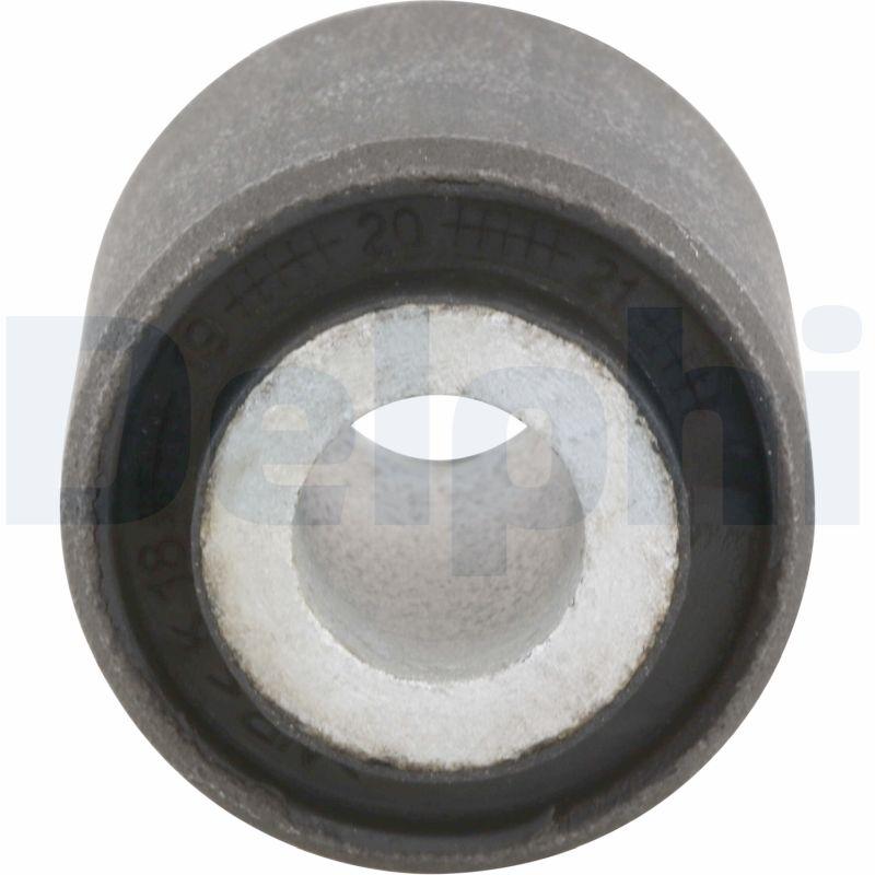 Suspension, jambe d'essieu DELPHI TD450W - Visuel 1