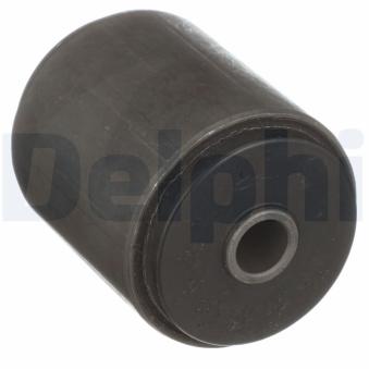 Suspension, ressort à lames DELPHI [TD5019W]