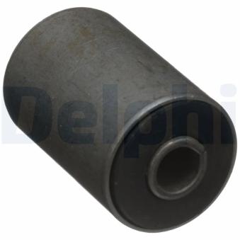 Suspension, ressort à lames DELPHI [TD5020W]