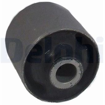 Suspension, corps de l'essieu DELPHI [TD809W]