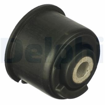 Suspension, corps de l'essieu DELPHI [TD912W]