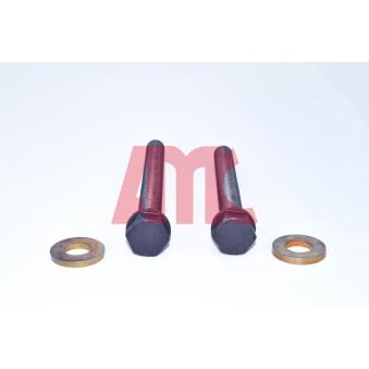 Jeu de boulons de culasse de cylindre AMC OEM 130722