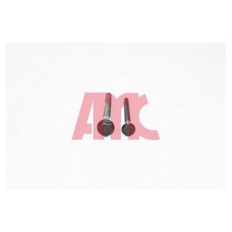 Jeu de boulons de culasse de cylindre AMC 258867 Jeu de boulons de culasse de cylindre AMC 258867