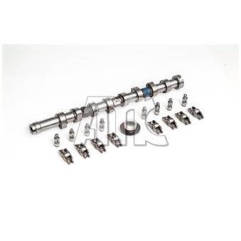 Jeu d'arbres à came AMC 647251K Jeu d'arbres à came AMC 647251K