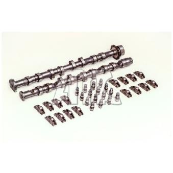 Jeu d'arbres à came AMC 647294K