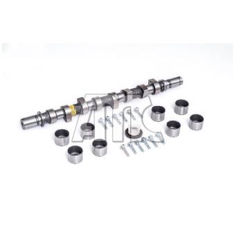 Jeu d'arbres à came AMC 647303K