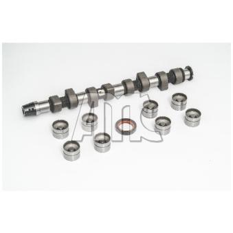 Jeu d'arbres à came AMC 661871K