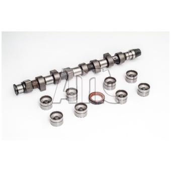 Jeu d'arbres à came AMC 662861K