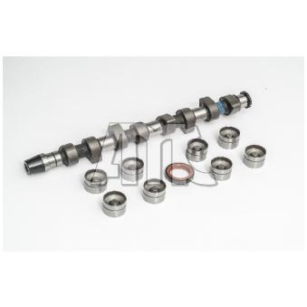 Jeu d'arbres à came AMC 662863K