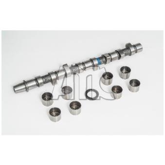 Jeu d'arbres à came AMC OEM R2L112421