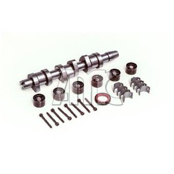 Jeu d'arbres à came AMC [666868K]