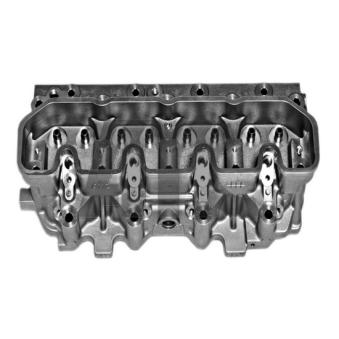 Culasse de cylindre AMC OEM LDF500180 Culasse de cylindre AMC OEM LDF500180